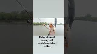 mancing di pondok ini kalau bisa di waktu air gerak naik pasang mafrenn pasti strike #fishingvideo