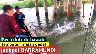 Langsung panik....‼️spot kolong jembatan ini jadi sarang ikan monster barramundi.