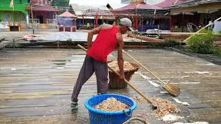 Kerjaan Ikan  Udang dll di Sinaboi Kecil Riau Indonesia 27 MEI 2021