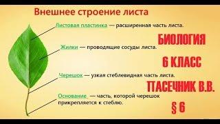 Биология 6 класс § 6 Автор Пасечник В.В.  Внешнее строение листа