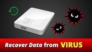 How to Recover Virus infected hidden files from an InternalExternal Hard Drive  USB  Flash Drive