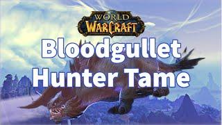 Bloodgullet Hunter Tame  Dragonflight  WoW