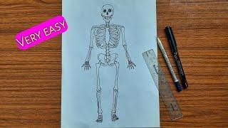 How to draw human skeleton  Human anatomy drawing  Skeleton drawing very easy