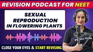 SEXUAL REPRODUCTION IN FLOWERING PLANTS in 41 Minute  Quick Revision PODCAST  NEET