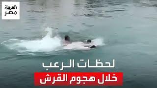 أسرة مصرية تروي لحظات الرعب والقلق بعد هجوم سمكة القرش بالغردقة