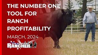 Leachman Cattle Co.   The American Rancher   03-11-2024