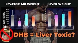 DHB Dihydroboldenone  The Most Overhyped And Liver Toxic Injectable Steroid?