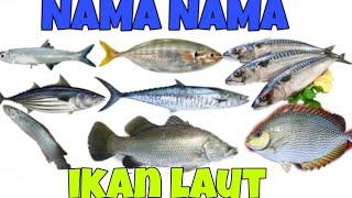 10 nama ikan laut yang sering kita konsumsi