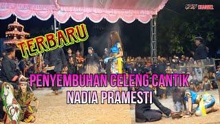 Penyembuhan Celeng Cantik Nadia Pramesti #jaranan #nadia #celeng #celengsrenggi