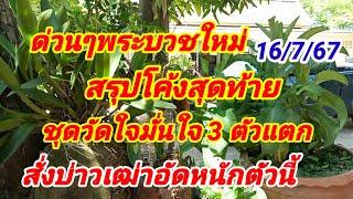 ด่วนๆพระบวชใหม่สรุปโค้งสุดท้ายชุดวัดใจมั่นใจ3 ตัวแตก สั่งบ่าวเฒ่าอัดหนักตัวนี้ 16767