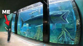 LARGEST AQUARIUM IN SOUTH AMERICA - Private Tour