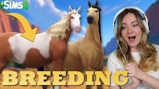 REALISTIC BREEDING SPIRIT AND RAIN IN SIMS 4 - Horse Ranch  Pinehaven