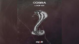 FREE 15+ DRILL LOOP KIT 2024 COBRA Dark Ethnic Vocal