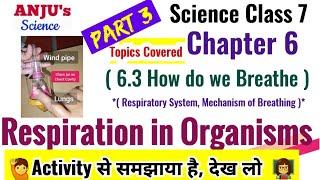Part 3 How do we Breathe  Class 7 Science Chapter 6 Respiration in Organisms 2023-24