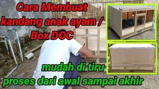 membuat kandang  box DOC