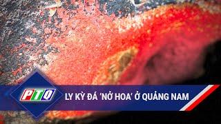 Ly kỳ đá ‘nở hoa’ ở Quảng Nam  PTQ