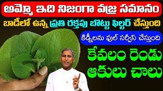 Blood Filter  బాడీ లో ఉన్న ప్రతి రక్తపు బొట్టును ఫిల్టర్ చేస్తుంది  Dr Manthena Satyanarayana Raju