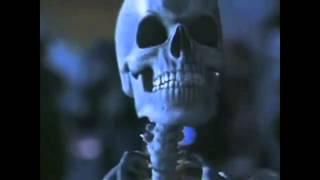 Spooky Scary Skeletons--Unofficial Music Video