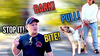 Stop Dog Barking Lunging & Pulling TRANSFORMATION GUARANTEED