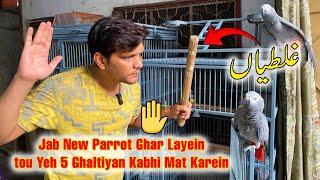 New Parrot ko jab Ghar layein tou pehle yeh kaam Lazmi karein  PBI Official