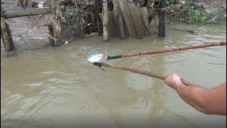 Electric Fishing in BIG River