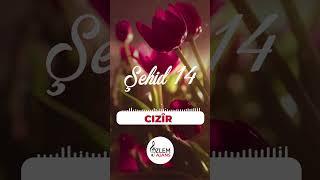 Şehid 14  Cızîr  Mahfuz Aktekin  Özlem Ajans   #ilahi #müzik #reels