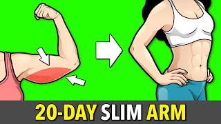 Slim Arms in 20 Days 18-Minute Beginner-Friendly Workout