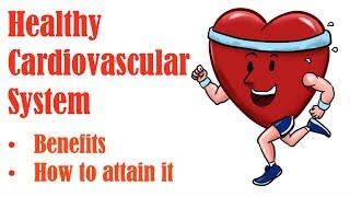 3  What is Cardiovascular Fitness and How to Develop a Healthy Cardiovascular System
