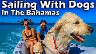 Sailing With Dogs in the Bahamas S5E12