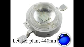 Blue LED for plants fitoled 440nm. Spectrum and PPFD testing