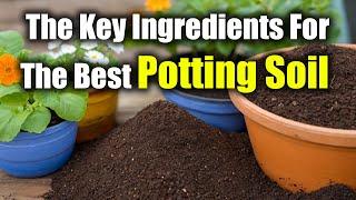 Mastering Potting Soil The Key Ingredients For The Best Potting Soil