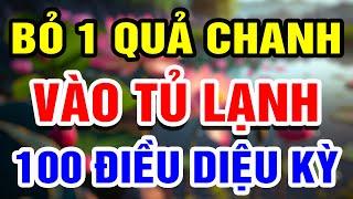 Bỏ 1 QUẢ CHANH Vào Tử Lạnh 100 ĐIỀU KỲ DIỆU Xảy Ra  THHT