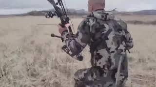 Охота на медведя с луком это конечно жесть Bear hunting with bow