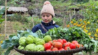 Process of making smoked sausage - Harvest chayote cauliflower and tomatoes to sell at the market