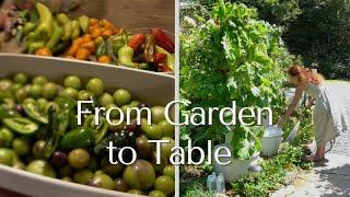 From Tower Garden to Table Homesteading Food Prep