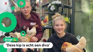 De kippen van Meike en Floor spelen in een tv-serie