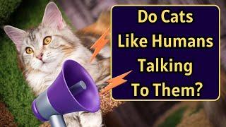 Should I Talk To My Cat Like A Human?