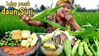 Nikmatnya sayur asem  MUKBANG LALAP JENGKOL MUDA +  batang pepaya mentah SAMBEL terasi ikan asin