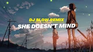 Dj Slow Remix She Doesnt Mind • Viral Tik Tok Terbaru 2023 • cocok buat santai 