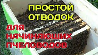 Простой и Быстрый Отводок Без МаткиНо Нам ПовезлоМатка Сама ПрилетелаПлюс Пчелосемья