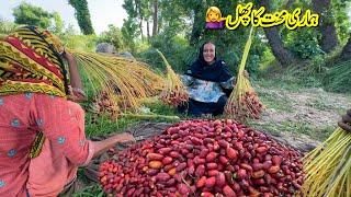 Hamari Mehnat Ka Phal Traditional Village 100% Fresh Dates  Village Dry Dates Choharay