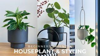 Beginners Houseplant Tour + Styling Tips Decorate With Indoor Plants 