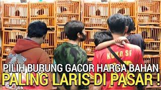 HEMAT 50%  BURUNG GACOR HARGA BAHAN PALING LARIS DI PASAR BURUNG PRAMUKA HARI INI