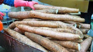 Chinese Yam Harvesting Yam Pork Ribs Soup  人參山藥採收 人參山藥排骨湯 - Taiwanese Food