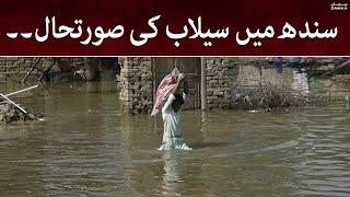 Flood Updates in Sindh  Samaa Tv  7th September 2022