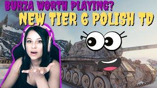 Burza ace tanker I New tier VI polish td I World of tanks I