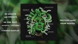 100% Free Analog Lab V Bank - Medusa Sounds inspired by Nardo Wick Future & Many More