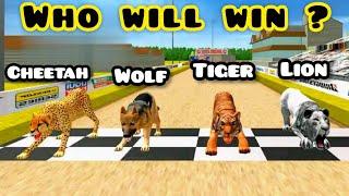 Lion vs Tiger vs Cheetah vs Wolf animal racing in HD best gameplay.