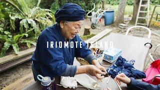 IRIOMOTE ISLAND  World Natural Heritage in Japan