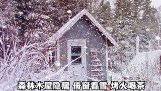 森林木屋隐居，外面大雪纷飞，和狗子一起围着火炉倚窗看雪